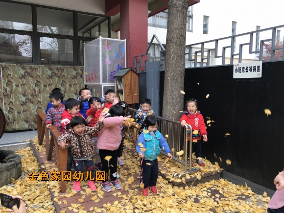 附件：IMG_3877.JPG