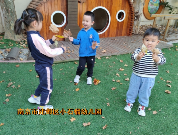附件：mmexport1706065070257.png