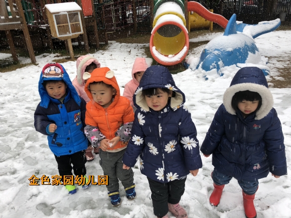 附件：IMG_1763.JPG