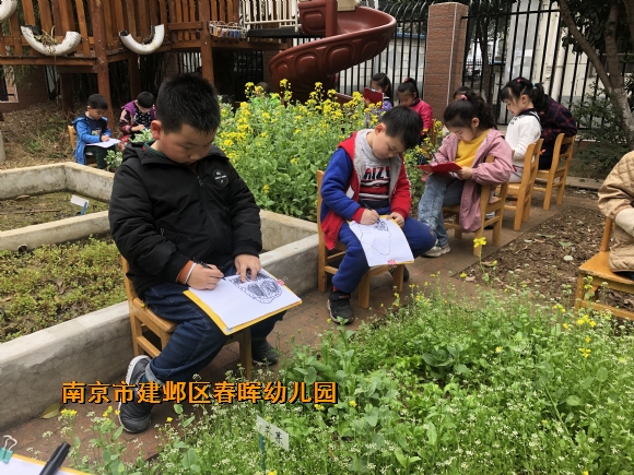 附件：IMG_4436.JPG