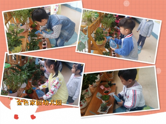 附件：4.jpg