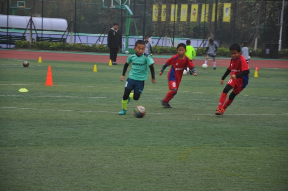 附件：DSC_3915.JPG