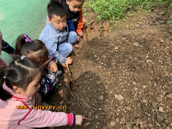 附件：IMG_4809.JPG