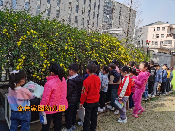 附件：f3c845c766505c76f3f3179b55fb77e.jpg