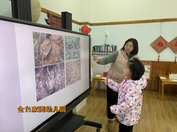 附件：IMG_6081.JPG