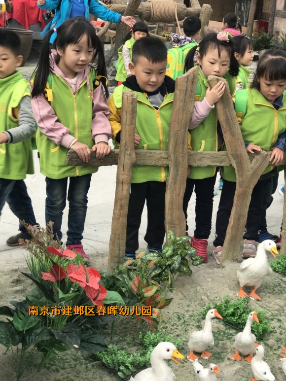 附件：conew_img_6678.jpg
