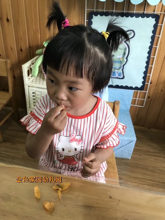 附件：IMG_8041.JPG