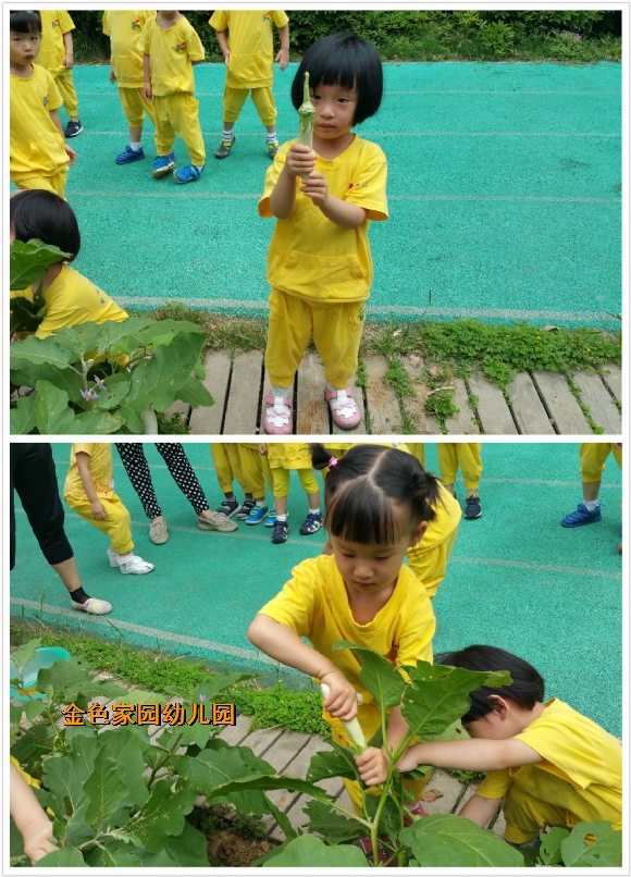 附件：pt2017_06_20_10_17_54.jpg