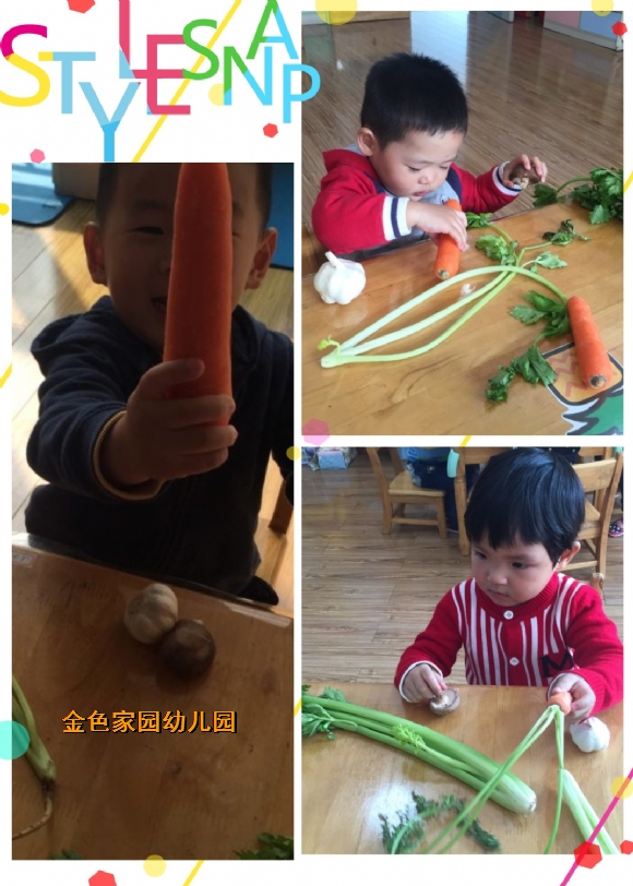 附件：1.jpg