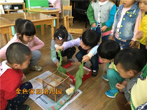 附件：IMG_3430.jpg