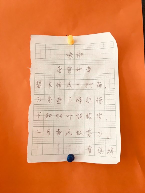 附件：IMG_4250(20190505-112019).jpg