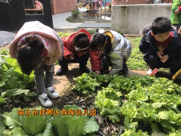 附件：mmexport1551253743342.jpg