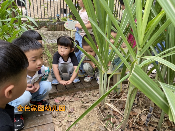 附件：IMG_1609(20220916-102116).JPG