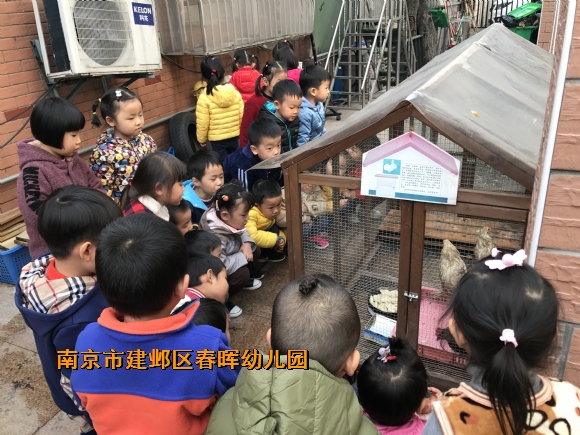 附件：新建文件夹IMG_2594.JPG