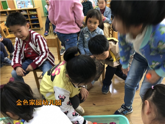附件：IMG_2863.jpg