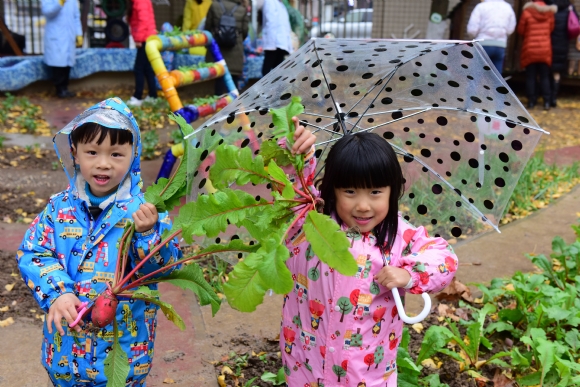 附件：DSC_7544.JPG
