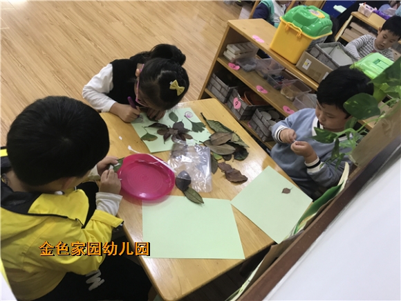 附件：IMG_8329.JPG