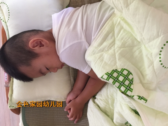 附件：IMG_6878.JPG
