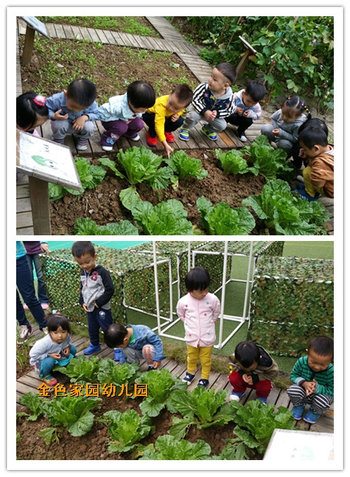 附件：initpintu_副本1.jpg