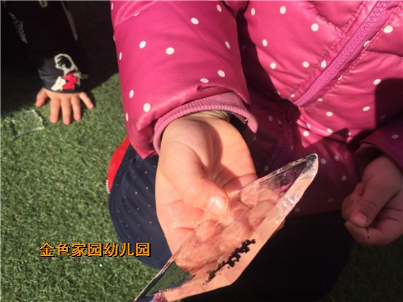 附件：IMG_1008.jpg