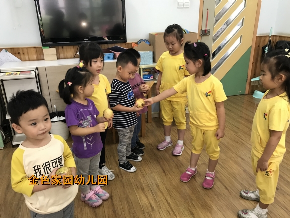 附件：IMG_1727.JPG