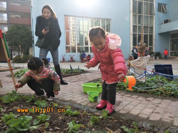 附件：IMG20171220094452.jpg