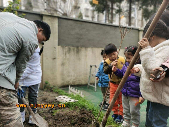 附件：IMG_20210310_101048.jpg