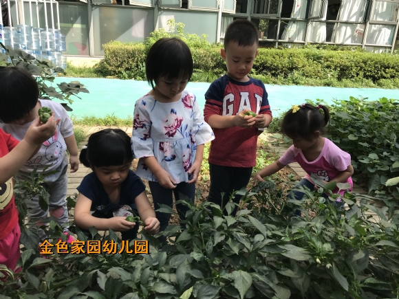 附件：IMG_1593.JPG
