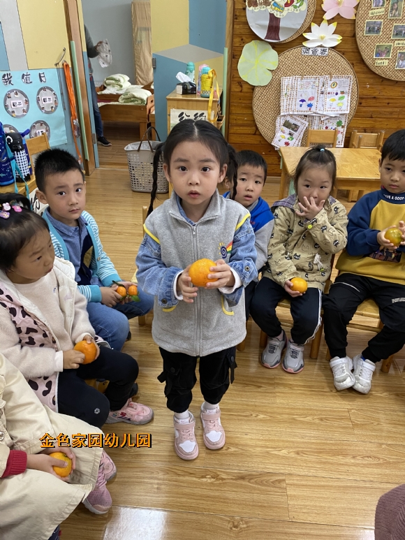 附件：IMG_4742.JPG