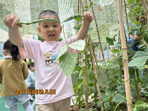 附件:IMG_7589.JPG 附件:IMG_7589.JPG