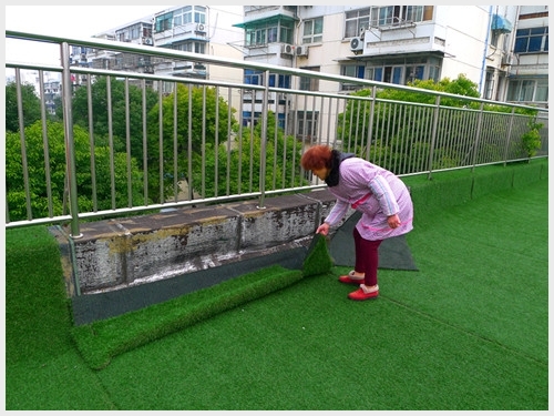 附件：P1080739.JPG