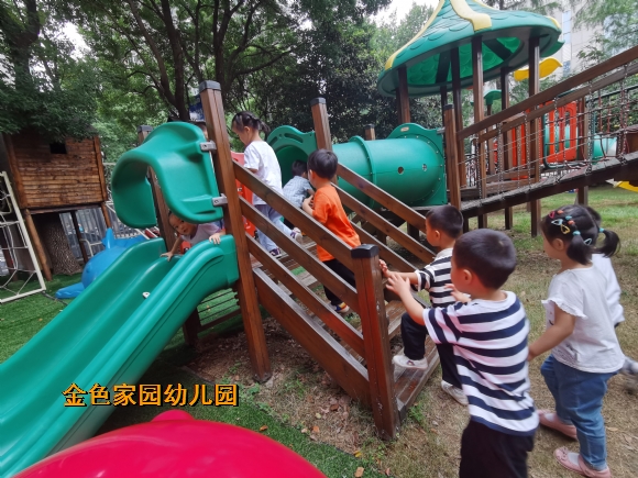 附件：IMG_20230915_094647.jpg