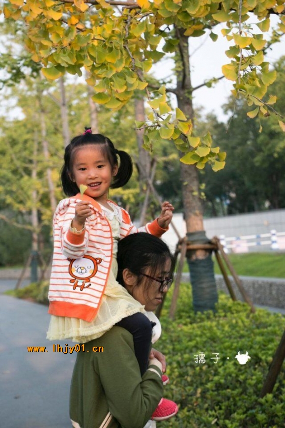 附件：QQ图片20171030102252.jpg
