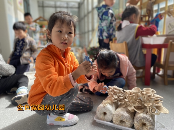 附件：IMG_3527.JPG