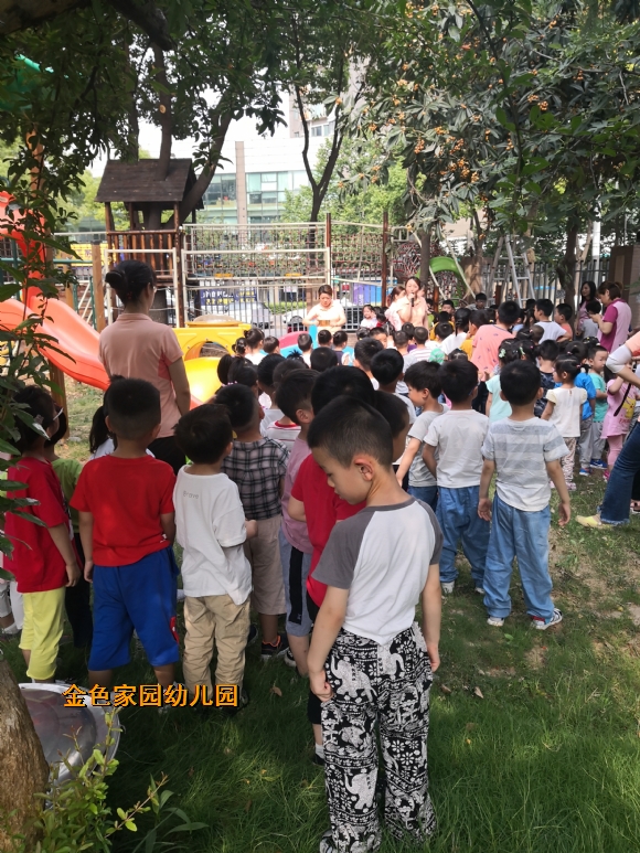 附件：主题墙照片IMG_20190605_150858.jpg