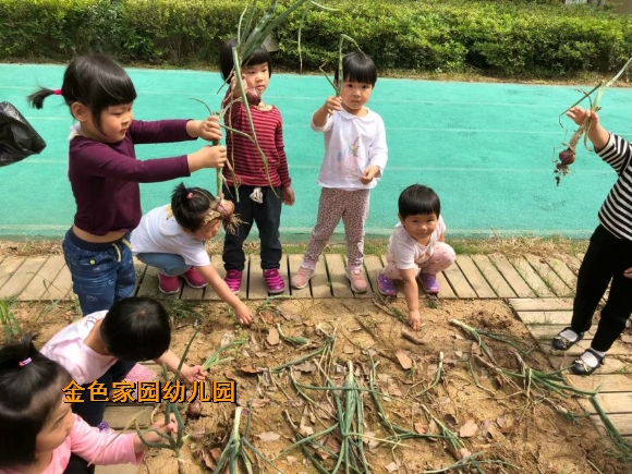 附件：IMG_6985.JPG