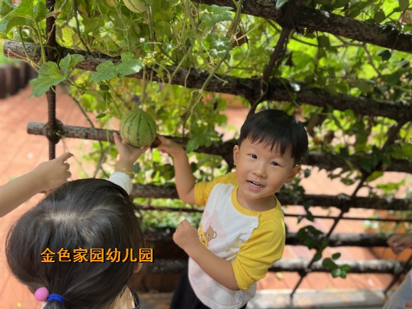 附件：IMG_4162.JPG