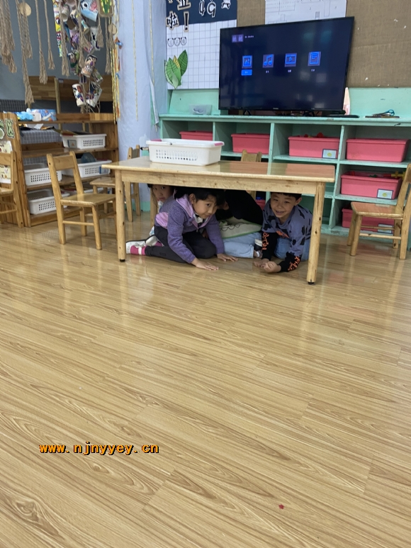 附件：IMG_3515.JPG