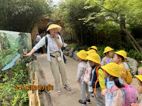 附件：IMG_8109.JPG