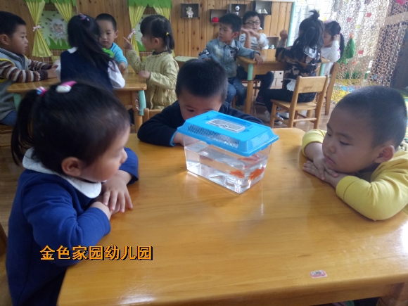 附件：IMG20170425100927.jpg