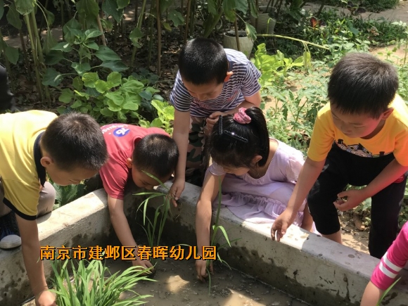 附件：conew_img_6266.jpg