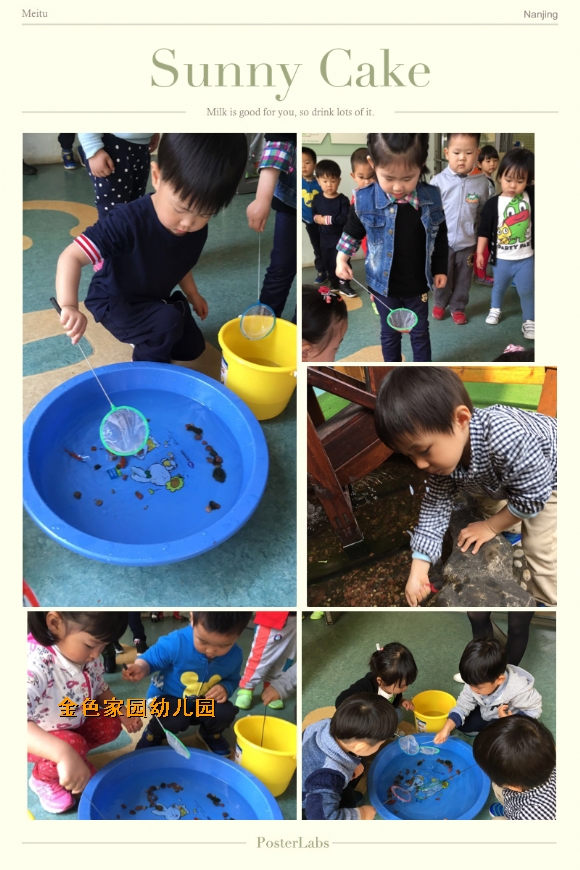 附件：IMG_7264.JPG