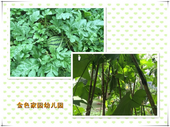 附件：3.jpg
