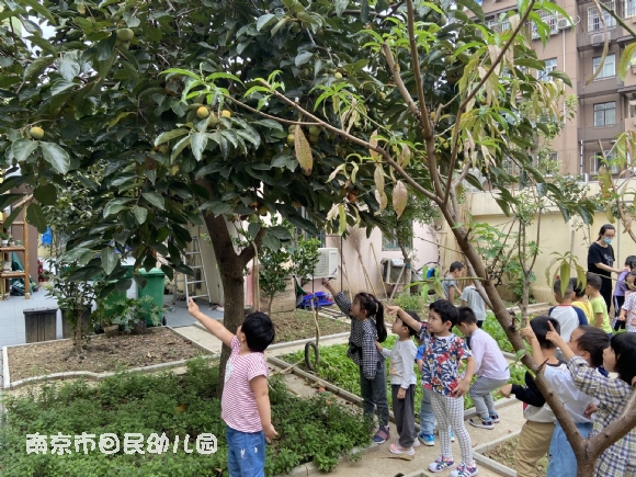 附件：1.jpg