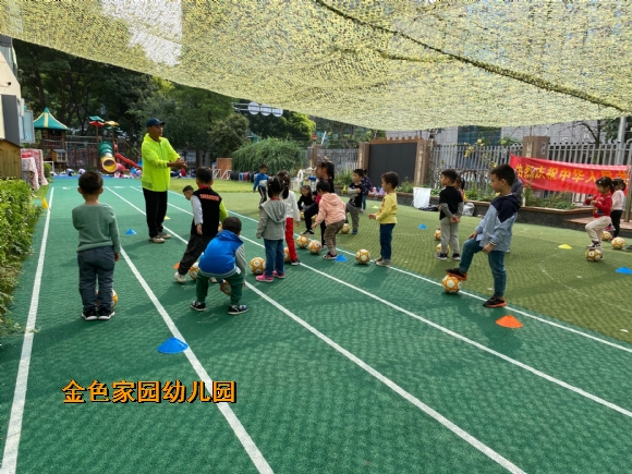 附件：IMG_4428(20201026-164150).JPG