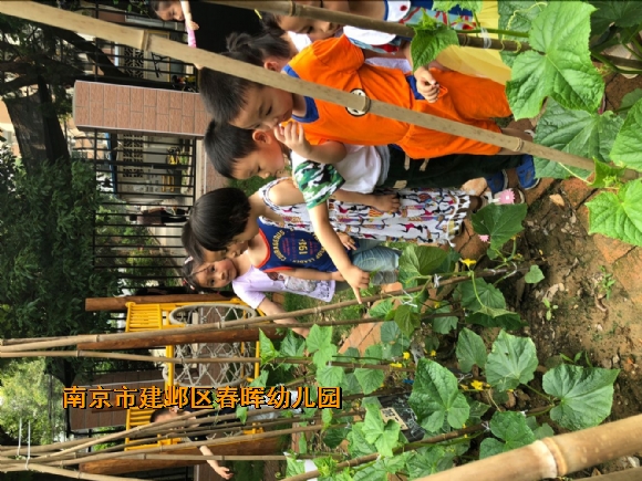 附件：QQ鍥剧墖20180518161252.jpg
