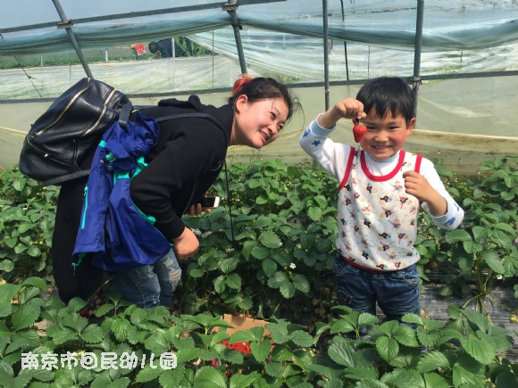 附件：IMG_6664.JPG