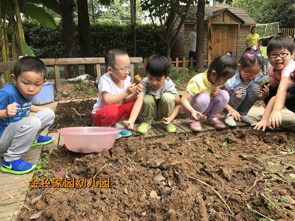 附件：IMG_6004.JPG