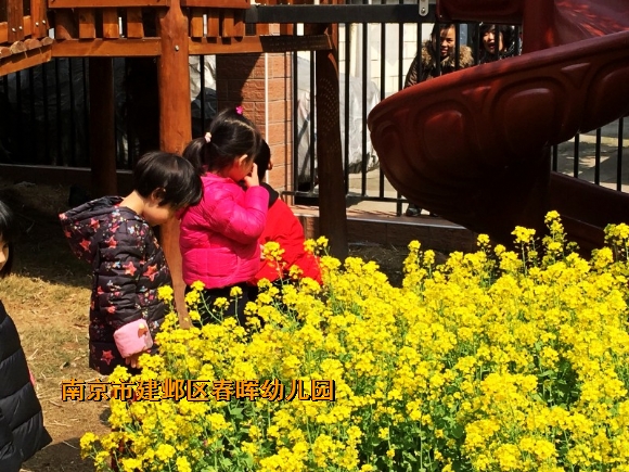 附件：conew_img_8513(1).jpg