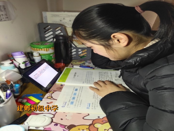 附件：王安琪.png